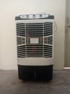 Cooler 12 Volt