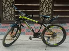 Dolphin river mountain bike