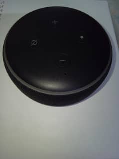echo