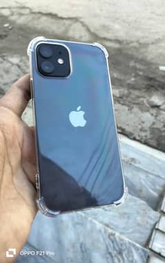 I phone 12