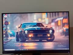monitor