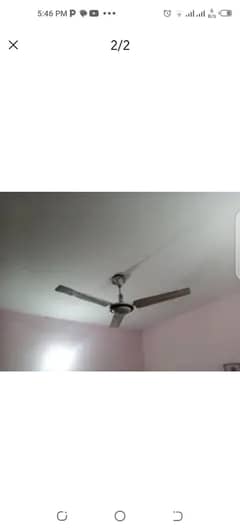 celling fan