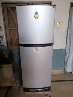 PEL Medium Size Fridge