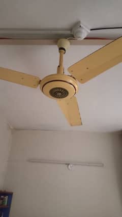 Ceiling fan for sale
