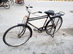 Baba Cycle Pego