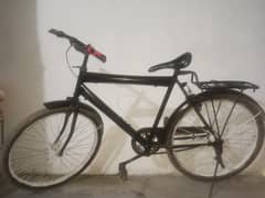 cycle
