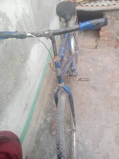 ride cycle