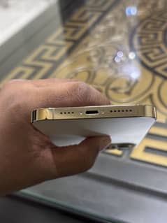 iphone 13 promax