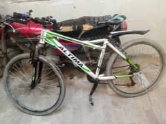 sports cycle