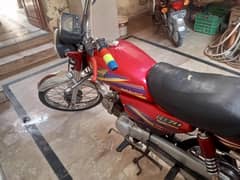 Rohi