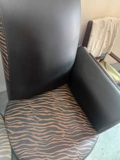 Sofa Chairs