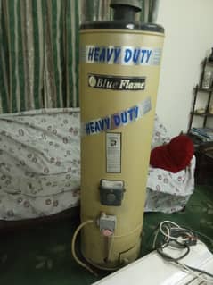 Blue Flame Geyser for Sale - Gas & Electric