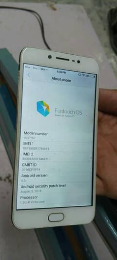 vivo