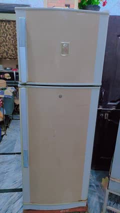 Dawlance Medium Size Refrigerator with Excellent Condition