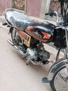 unique gold edition 2025