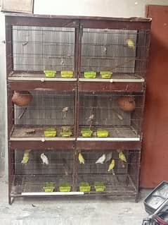Cage for Sale