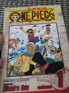 One piece volume 1