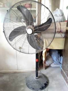 Best GFC Pedestal Fan.