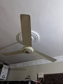 Celling fan for sale home used working condition
