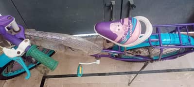 bicycle in good condition