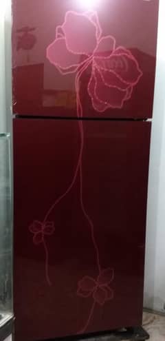 Jambo size freezer