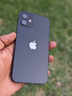 IPHONE 12