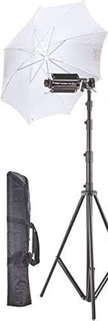Flood light stand and umbrella