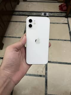 Iphone 12 dual pta 128 gb                                13,14,15,16