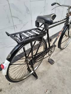 Baba Cycle Pego