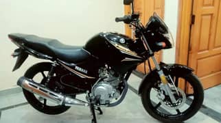 Yamaha ybr 125(2023)