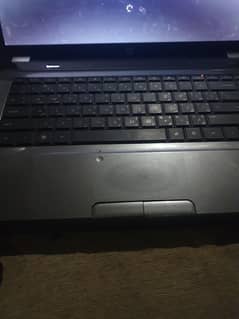 03213981068