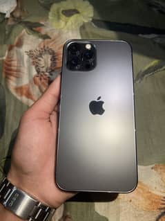 12pro