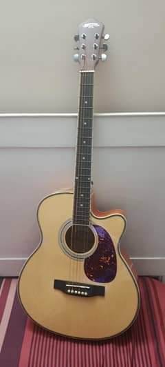 caravan guitar for sale
