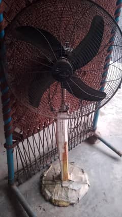 Master Fan