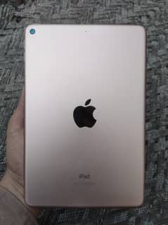 I pad mini 5 condition 10by9.5