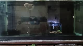 aquarium
