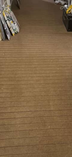 Wall to wall carpet used for less then Year