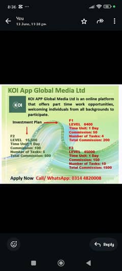 online work in koi company