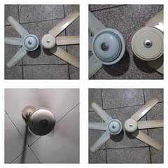 Ceiling Fan Ac220