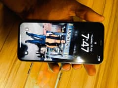 Iphone 12 pro factory