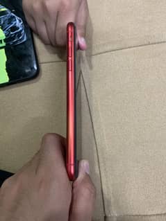 iPhone 11 FU