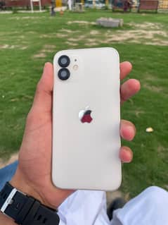 iPhone 12 WaterPack