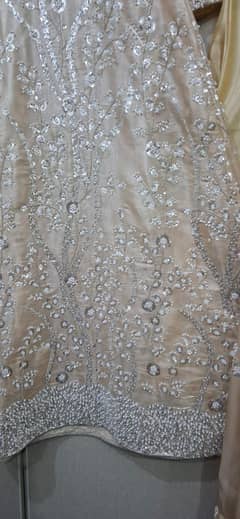 Party Wear