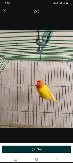 for sale