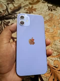 Iphone 12 Non PTA (JV)