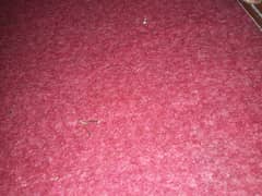 Carpet