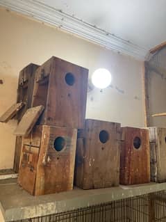 boxes for birds