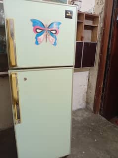 dawlane frige number 03074178599