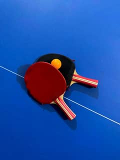 table tennis table