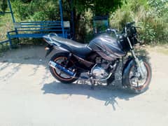 Yamaha ybr 125 (esd)
